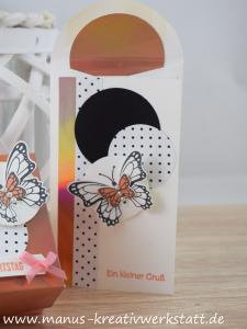 Schmetterlingsgruß, Schmetterlingsduett, Stampin Up, Create & Share